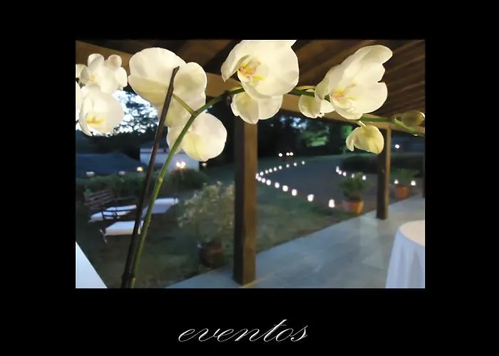 컨트리하우스 Pazo De