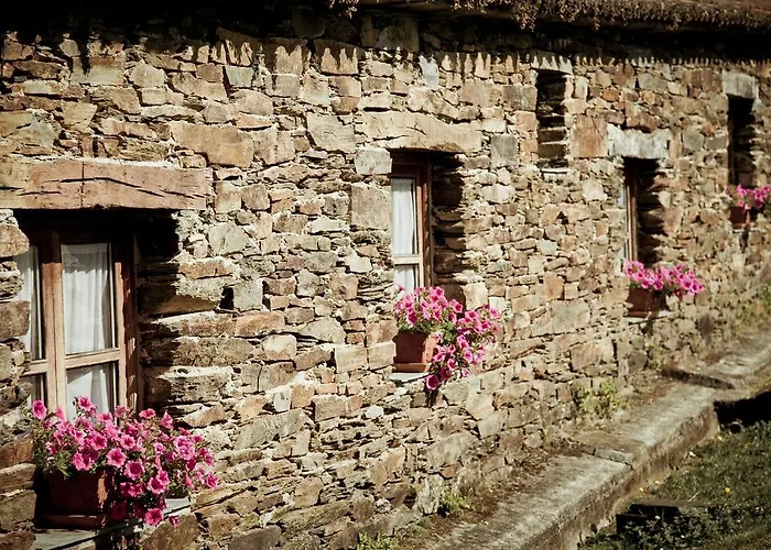 Pazo De *