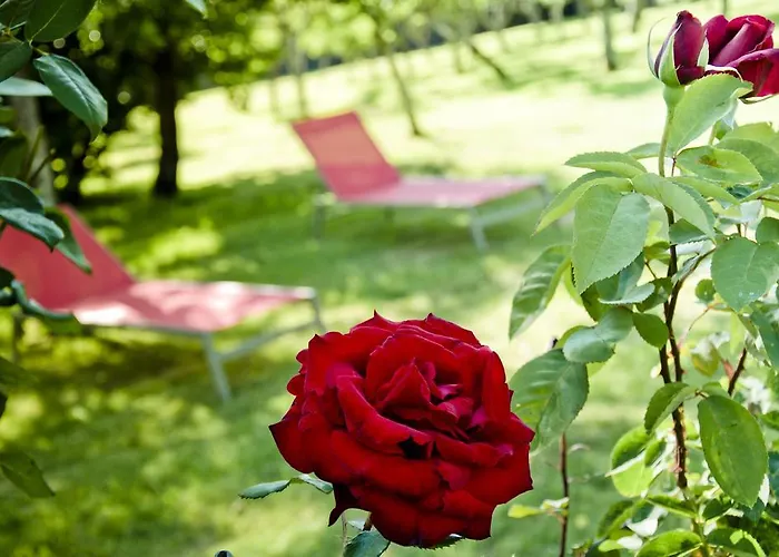 Pazo De 컨트리하우스