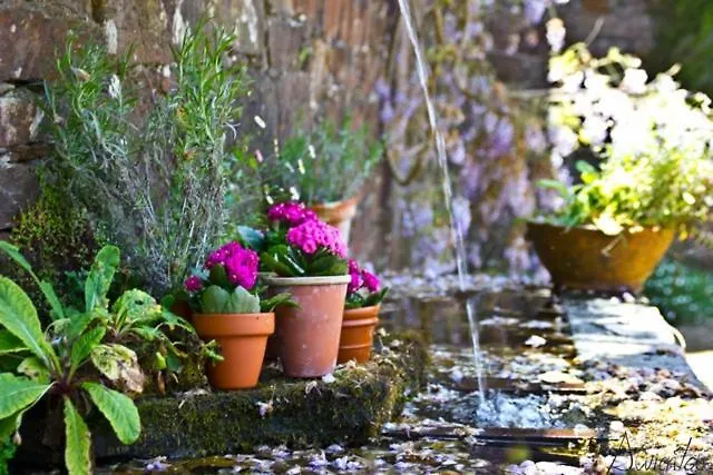 Pazo De 컨트리하우스